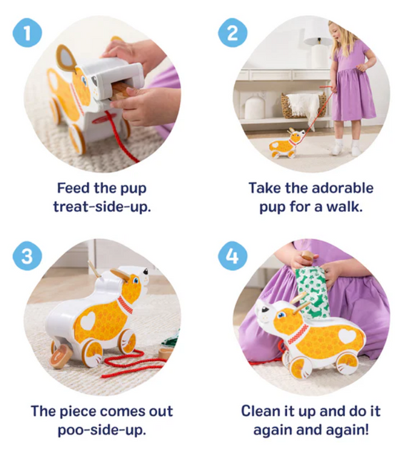Feed, Walk, and Poo Pup