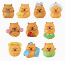Capybara Cuties Blind Box-2