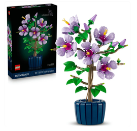 Botanical Collection: Hibiscus