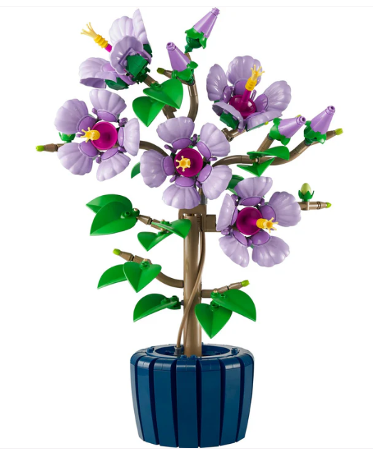 Botanical Collection: Hibiscus