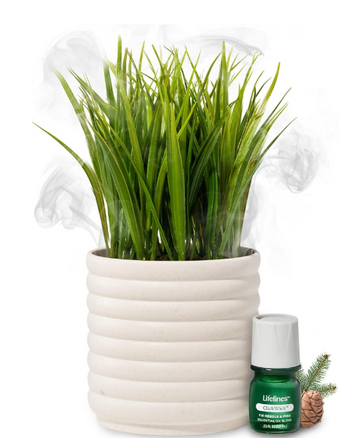 Lifelines Plant Diffuser Bubble (Grass Plant)