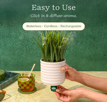 Lifelines Plant Diffuser Bubble (Grass Plant) - 0