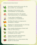 Rub & Sniff Scented Colored Pencils: 10 Pk-2