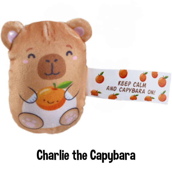 Bubble Stuffed Friends: Emotional Support Ed.