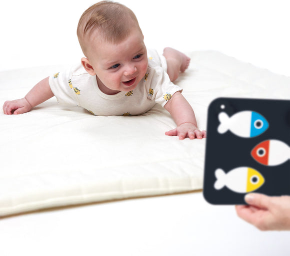 High Contrast Baby Cards Birth-3 Months