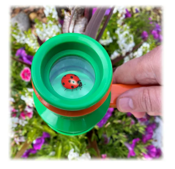 Nature Bound Bug Catcher & Viewer