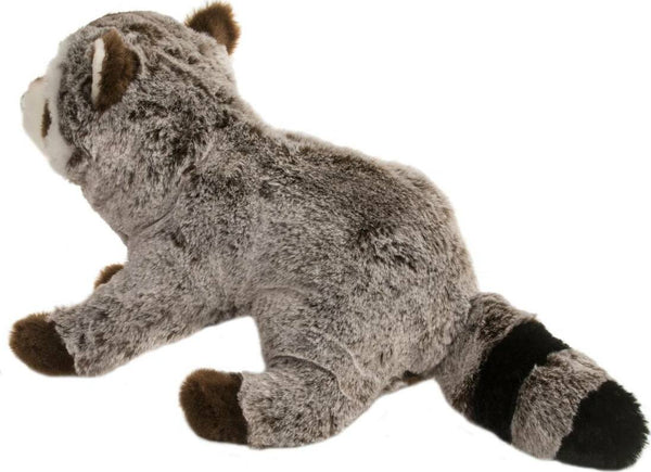 Ringo Raccoon