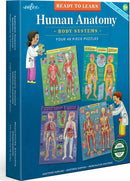 Human Anatomy 48pc Set/ 4 puzzles