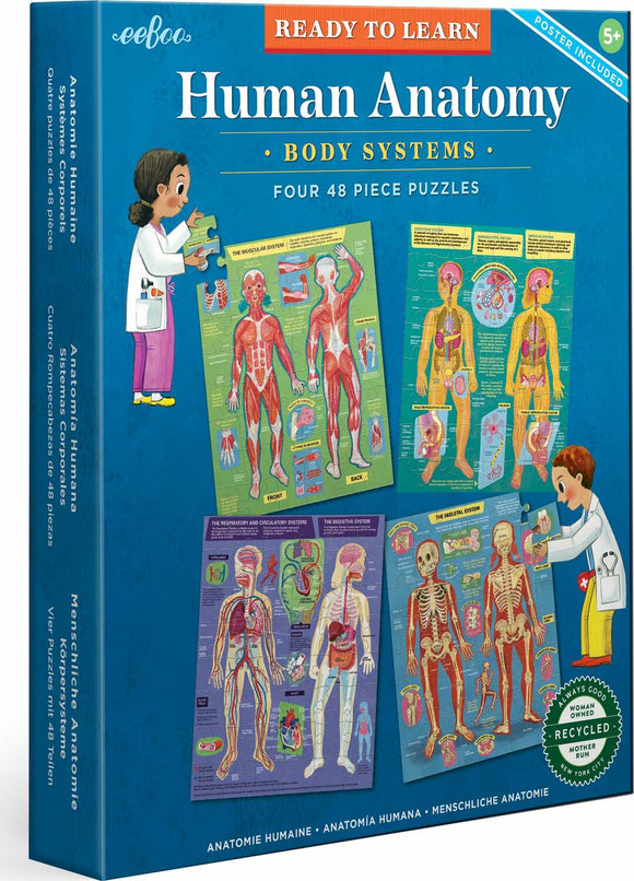 Human Anatomy 48pc Set/ 4 puzzles