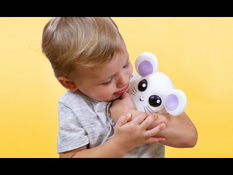 Hide 'N Squeak - Where's Squeaky?-5