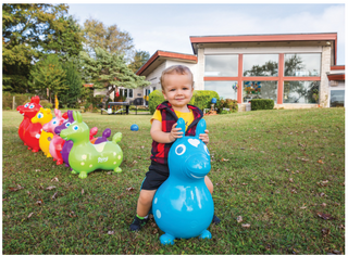 Rody Horse: