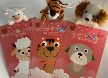 Valentine: Assorted Plush Valentine - 0