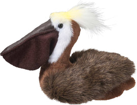 Beachy Pelican