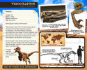 Velociraptor Kit