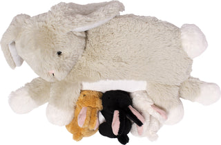 Nursing Pet Rabbit