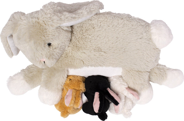 Nursing Pet Rabbit