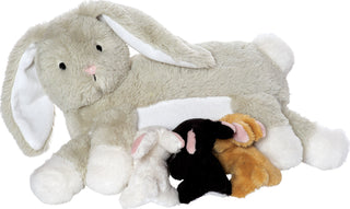 Nursing Pet Rabbit
