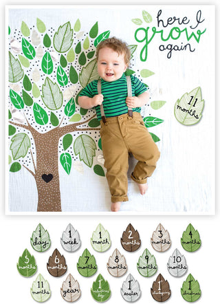 Lulujo "Here I Grow Again" Baby's First Year DELUXE Blanket & Cards Set
