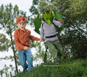 Dragon Mask - Green