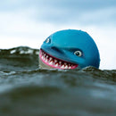 Sharky Shark