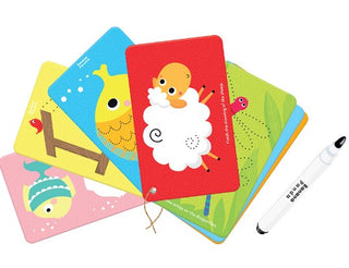 Let's Write and Wipe Animals